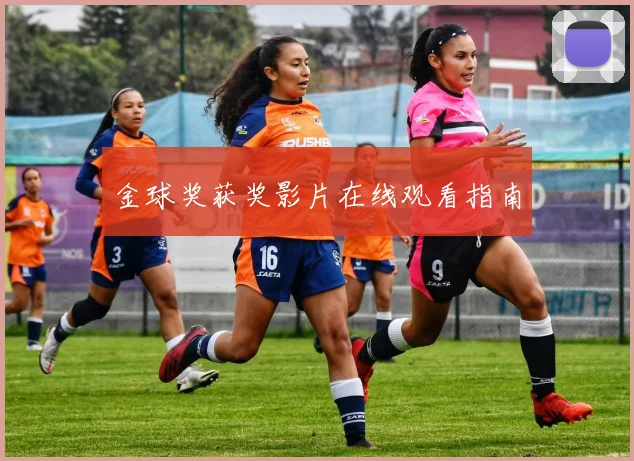 金球奖获奖影片在线观看指南
