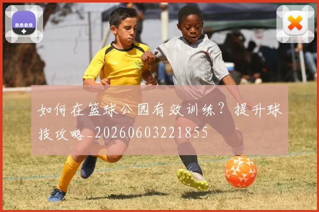 如何在篮球公园有效训练?提升球技攻略_20260603221855