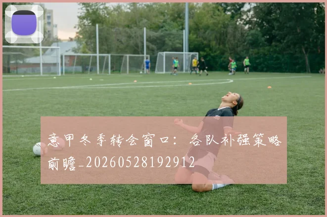 意甲冬季转会窗口:各队补强策略前瞻_20260528192912